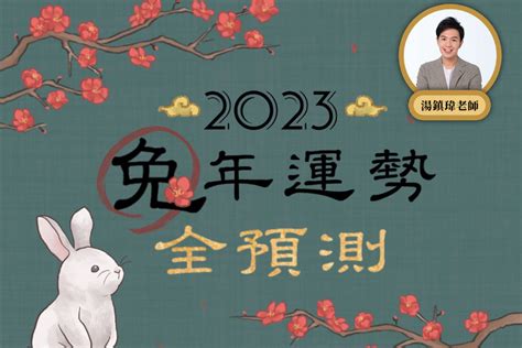 2023 豬運勢|2023兔年運勢全預測／湯鎮瑋：生肖豬今年事業前程。